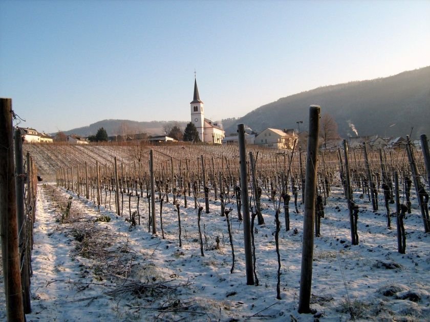 Weingut und Ferienwohnungen Ferres