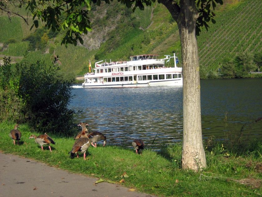 Weingut und Ferienwohnungen Ferres