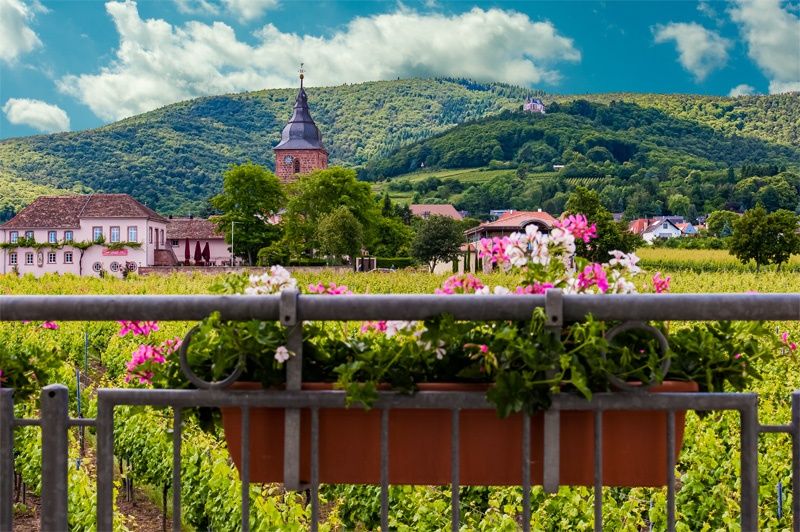 Weingut Gästehaus Eberle