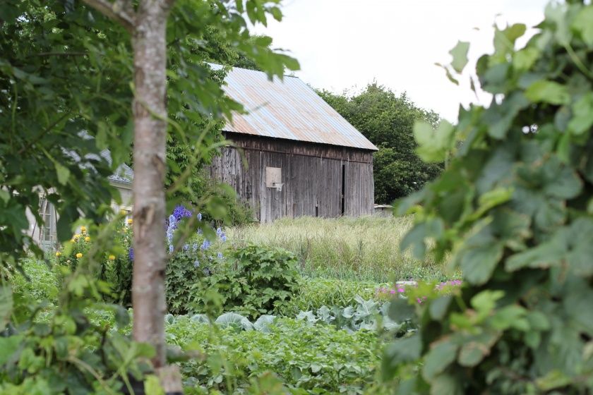 Ferienwohnungen Hetzgeshof