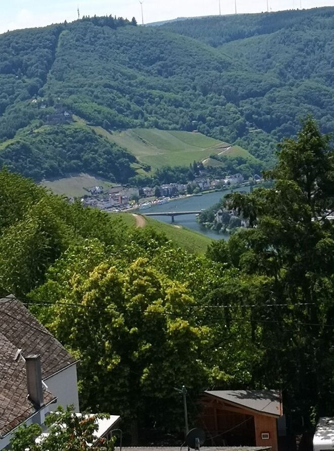 Ausblick vom Balkon der FeWos