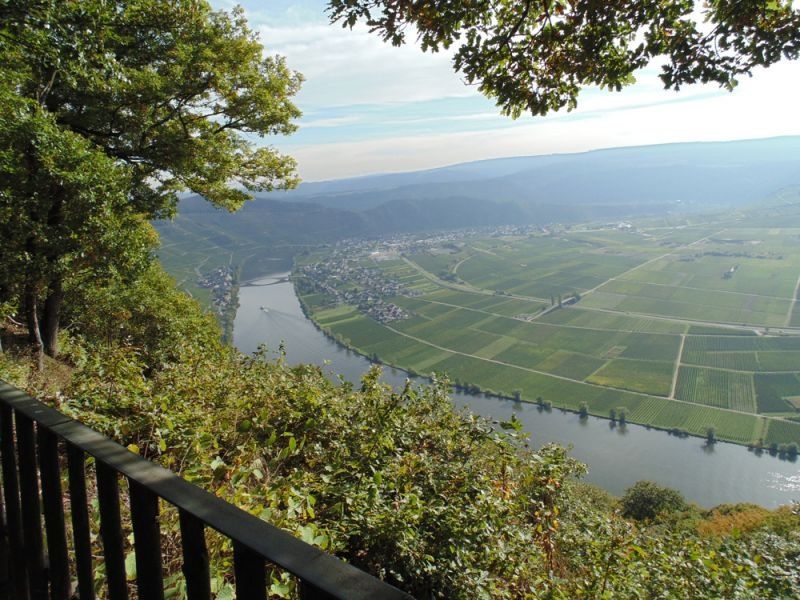 Weingut & Gästehaus Lehnert-Später