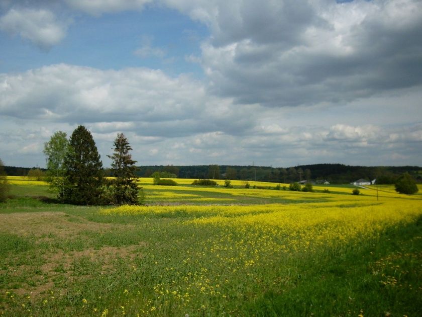 Ferienwohnung Rotthaus