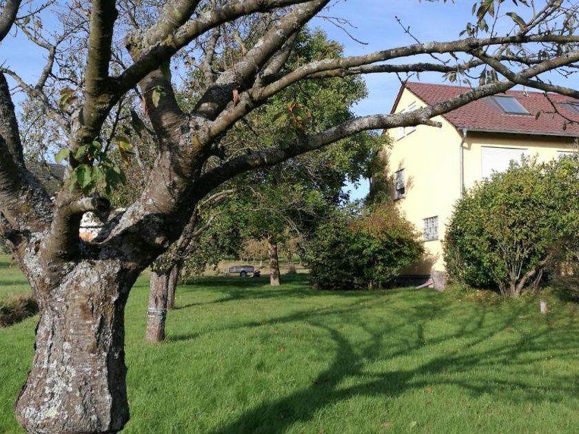 Ferienwohnung am Selberg