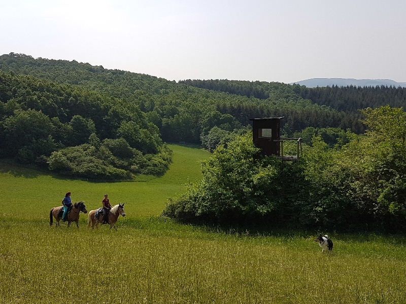 Hunsrück zu Pferd e. V.