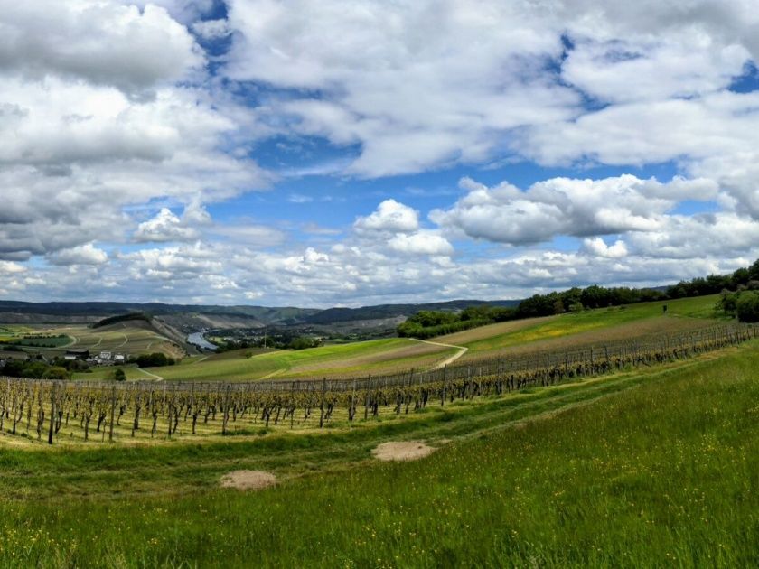 Große Ferienwohnung 2 Cuvee für bis zu 6 im Weingut Harald Ludwig