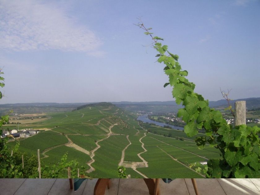 Ferienwohnung 3 Auslese mit Terrasse im Weingut Harald Ludwig an der Mittelmosel