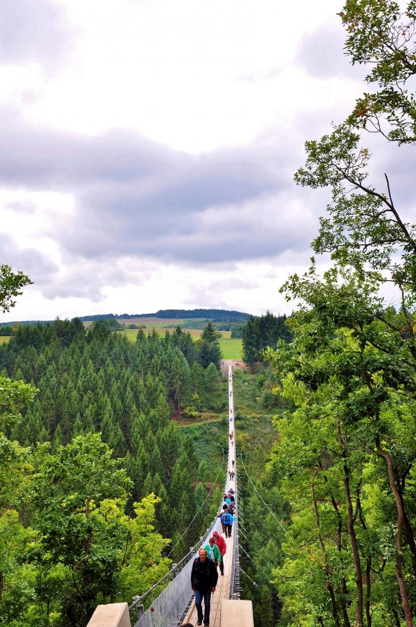 WILDLINE Hängebrücke