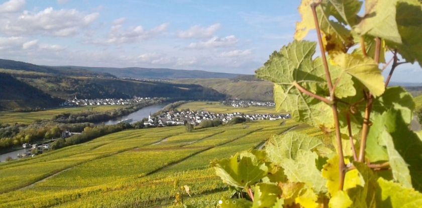 Weingut und Gästezimmer Jörg Thul