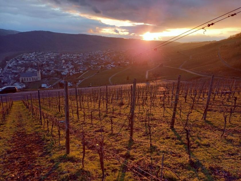 Weingut & Gästehaus Manfred Christoffel