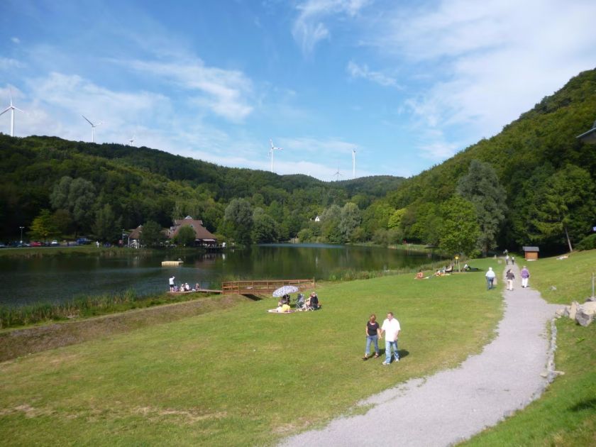 Ferienhaus Waldsee