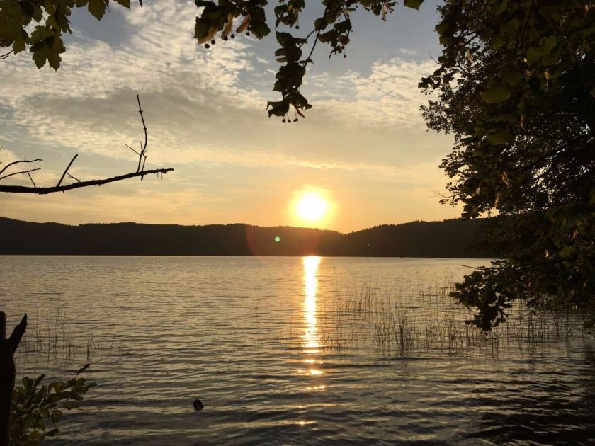 Ferienhaus Waldsee