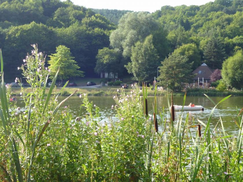 Ferienhaus Waldsee