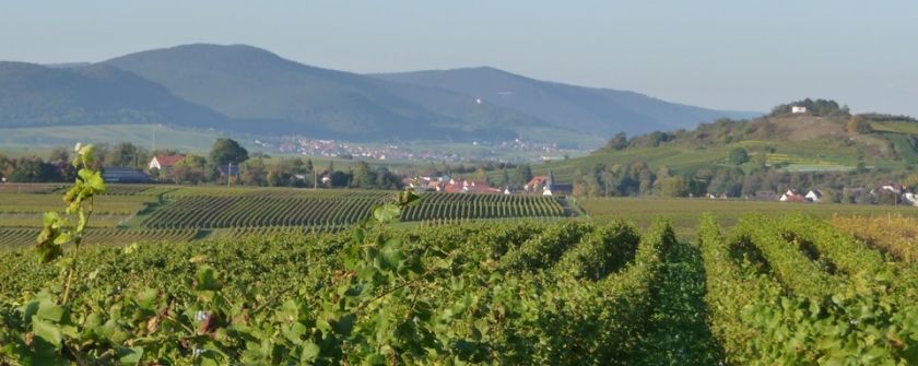 Ferienweingut Schmitzer-Julier