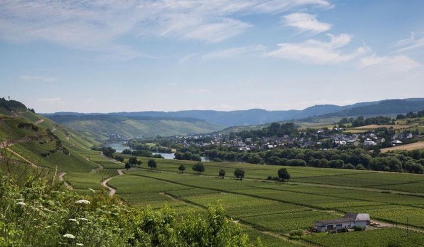 Kastanienhof Weingut Esseln