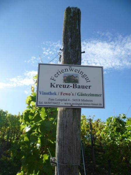 Ferienweingut Kreuz-Bauer in Minheim an der Mosel