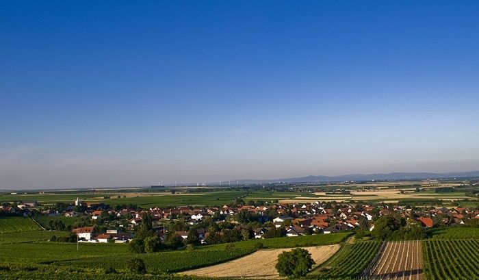 Weingut Sonnenhof