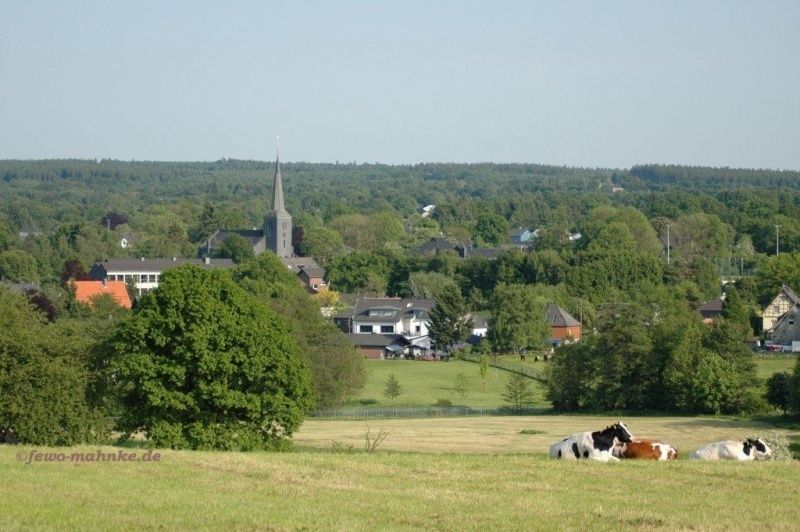 Blick vom Eifelsteig auf Roetgen