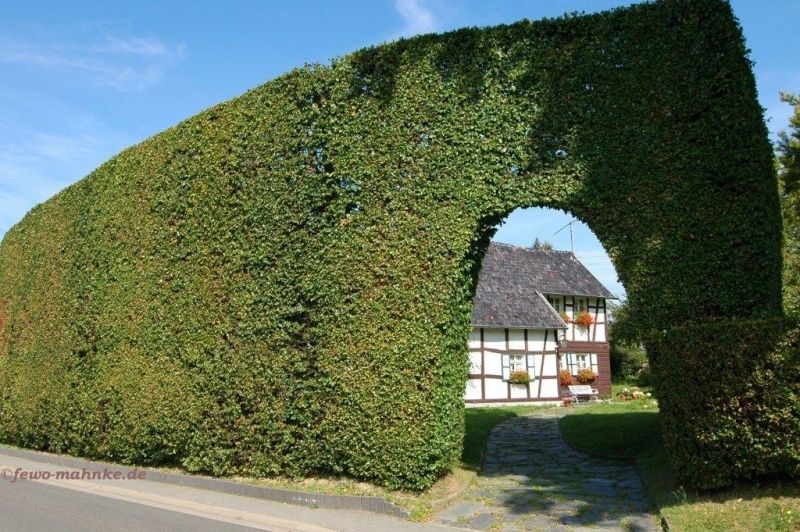 Haus mit Hecke in Höfen