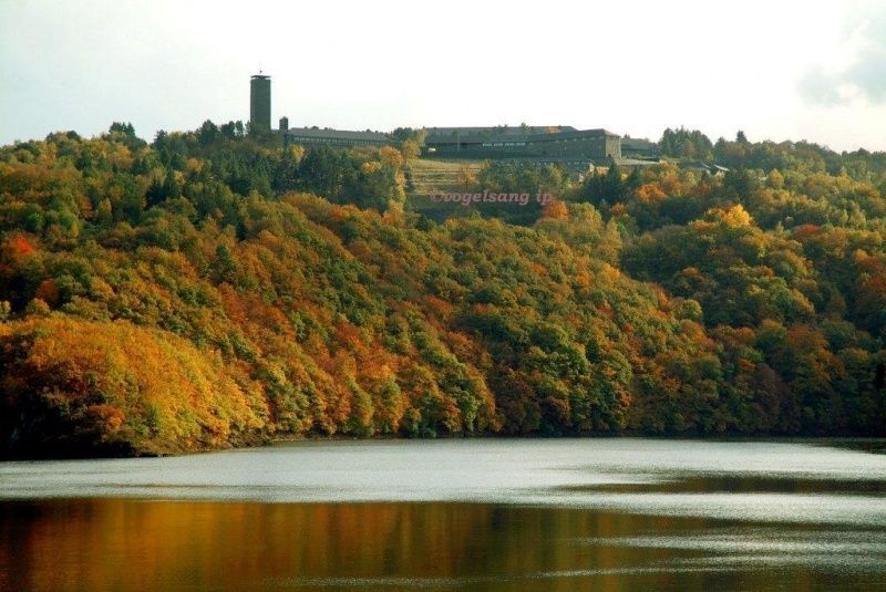 Ordensburg Vogelsang im Herbst