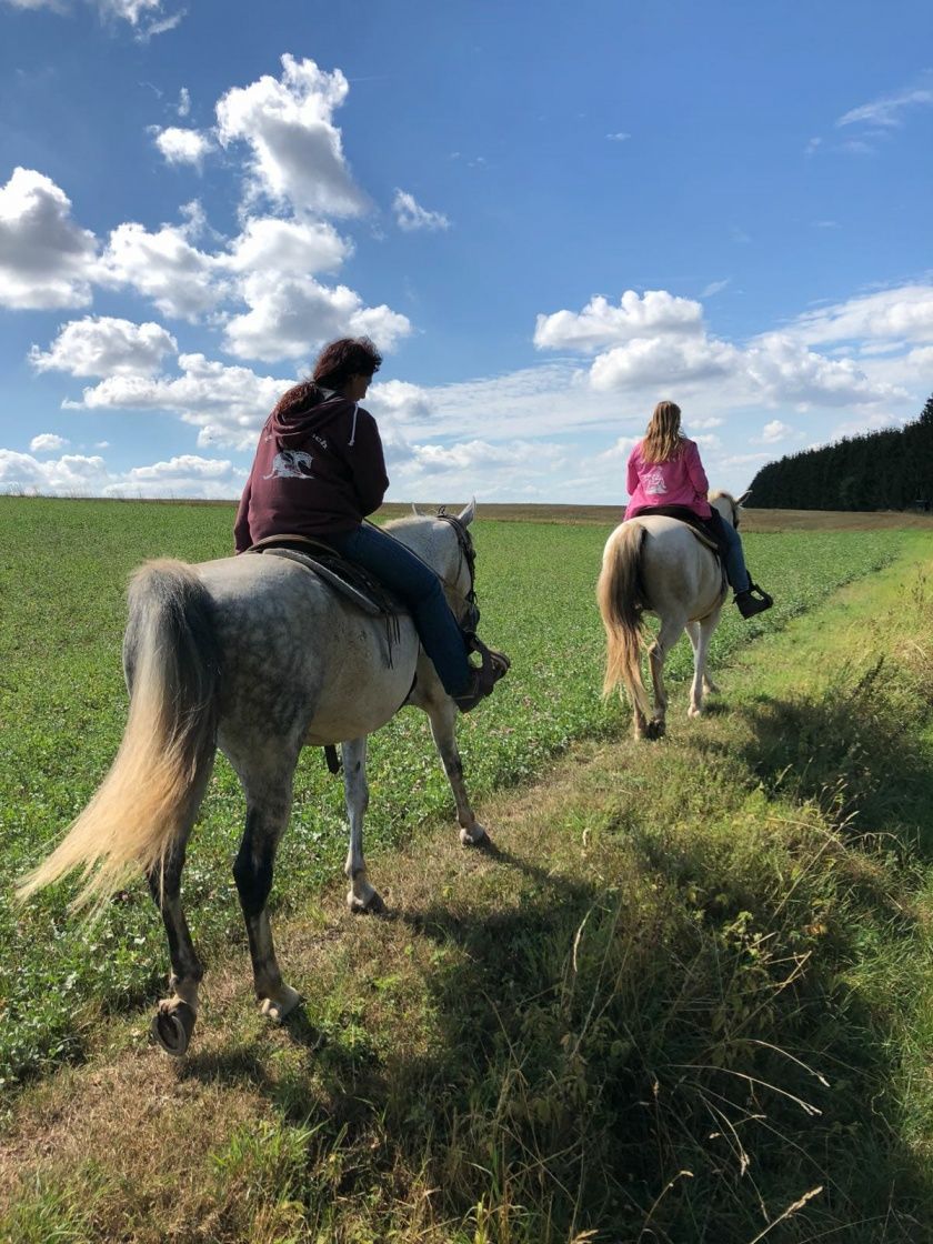 Western - Erlebnis - Reitwochenende