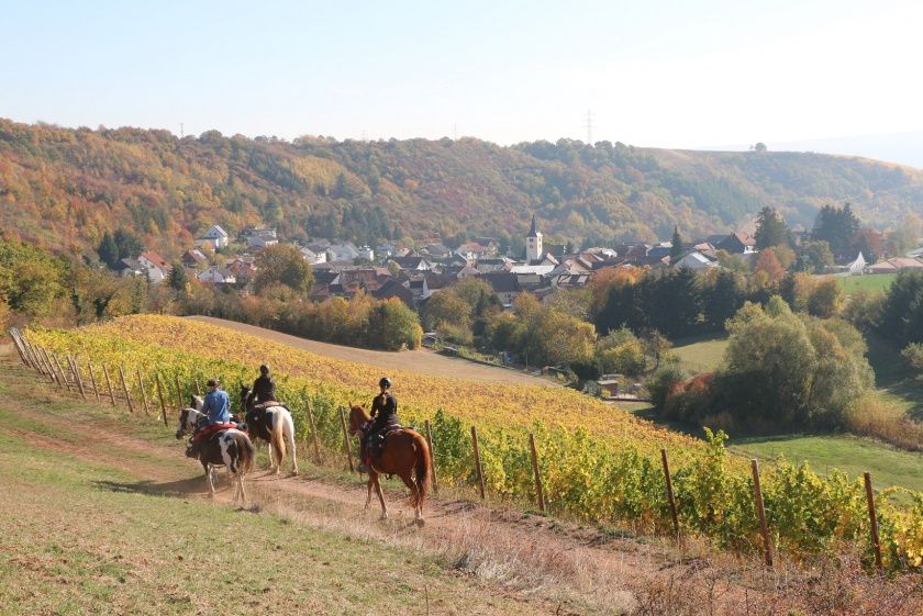 Tour 05: Auf den Spuren der Grafen von Sponheim