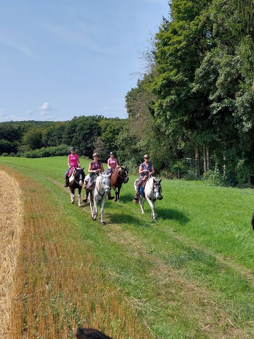 Tour 06: Wanderreiten erleben