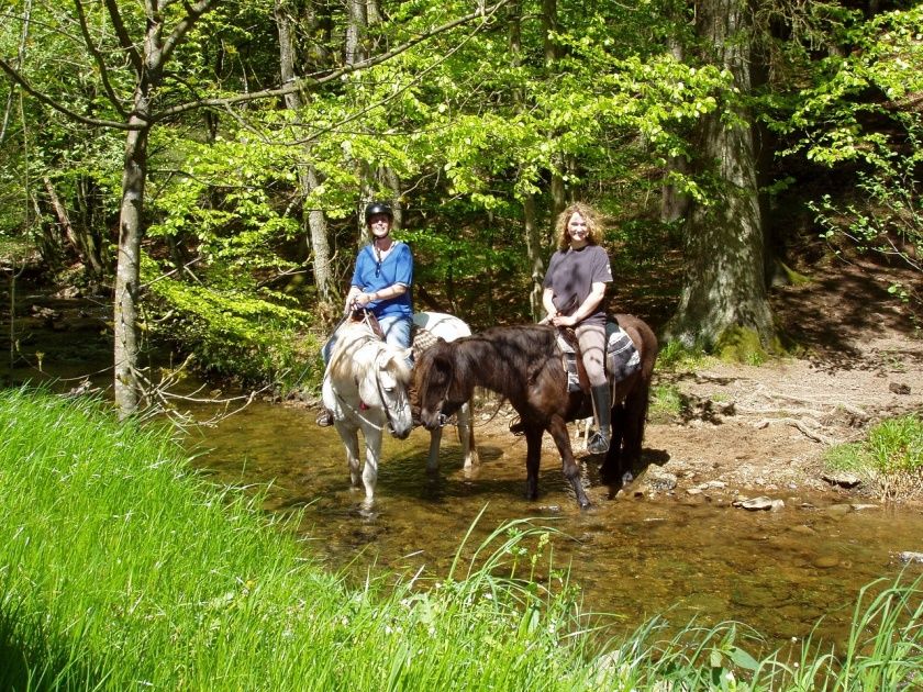 Tour 07: Der Natur ganz nah