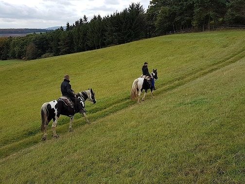 Tour 15: Fluss auf, Fluss ab