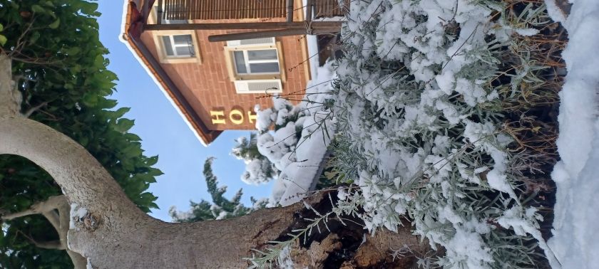 Winter in der Pfalz