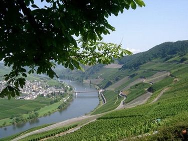 Urlaub In Rheinland-Pfalz - Ferienwohnungen Und Hotels - Mosel Pfalz ...