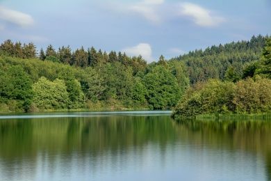 Hotels, Campingplätze und Ferienwohnungen in Bütgenbach