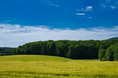 Urlaub in Katzenelnbogen