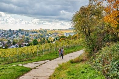 Hotels, Campingplätze und Ferienwohnungen in Bad Bergzabern