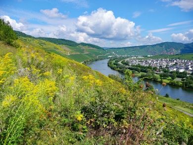 Hotels, Campingplätze und Ferienwohnungen in Zeltingen-Rachtig