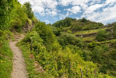 Hotels, Campingplätze und Ferienwohnungen in Treis-Karden