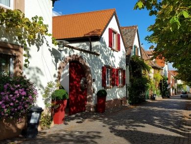 Hotels, Campingplätze und Ferienwohnungen in Rhodt unter Rietburg