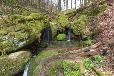 Hotels, Campingplätze und Ferienwohnungen in Ludwigswinkel