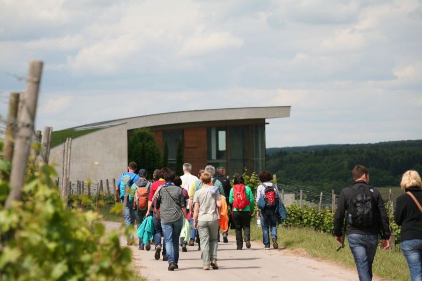 ADAC Saarland vor Ort - Natur und Kulinarik - Unterwegs in den Weinbergen am Dreiländereck