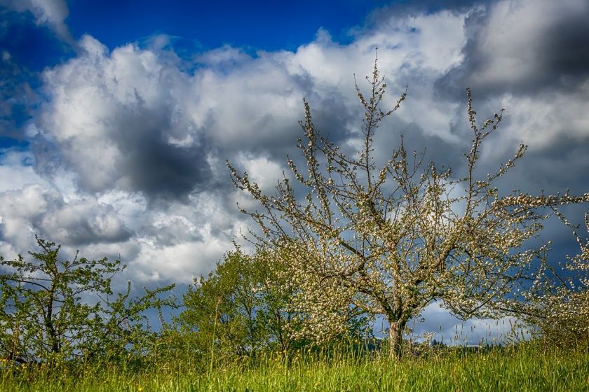 Traumschleife Oppig-Grät-Weg