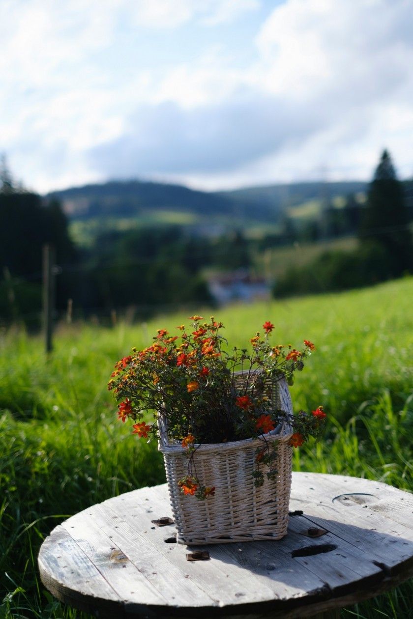 Rappenfelsensteig