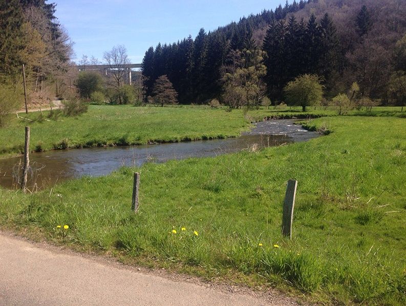 Premiumwanderweg Bach-Pfad