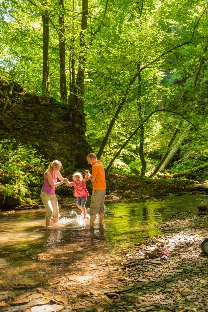 Traumschleife Baybachklamm