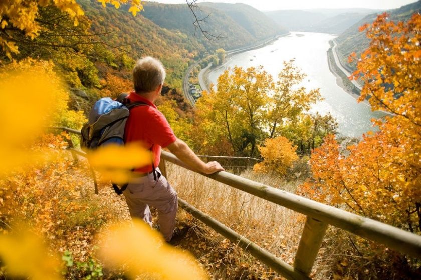 Rheinsteig (Burgen, Schlösser erleben - wandern am Rhein)